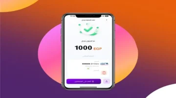 استرداد الأموال عبر إنستا باي: 5 طرق فعالة بعد تحويل المبلغ بالخطأ